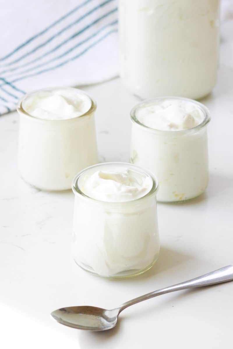 small glass jars with homemade plain yogurt in them and a spoon laying next to them