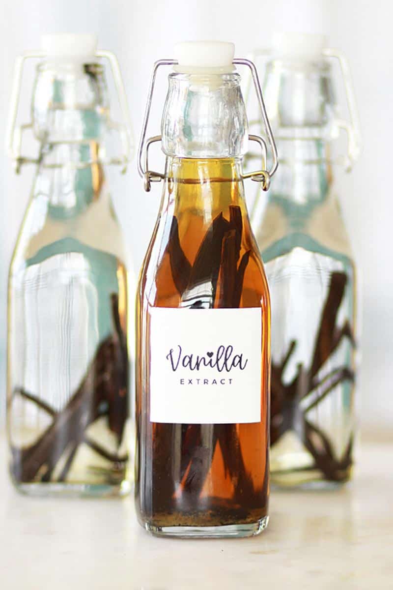 Vanilla Extract—Perfect Homemade Gift!• Everyday Cheapskate