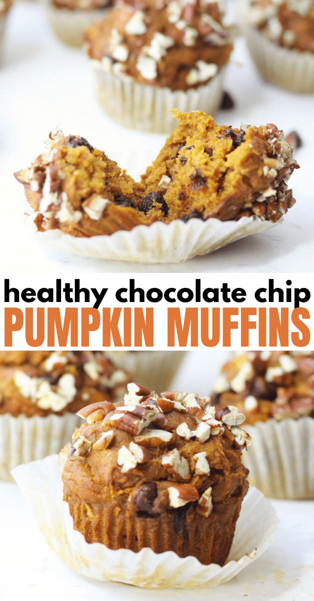 pumpkin chocolate chip muffins
