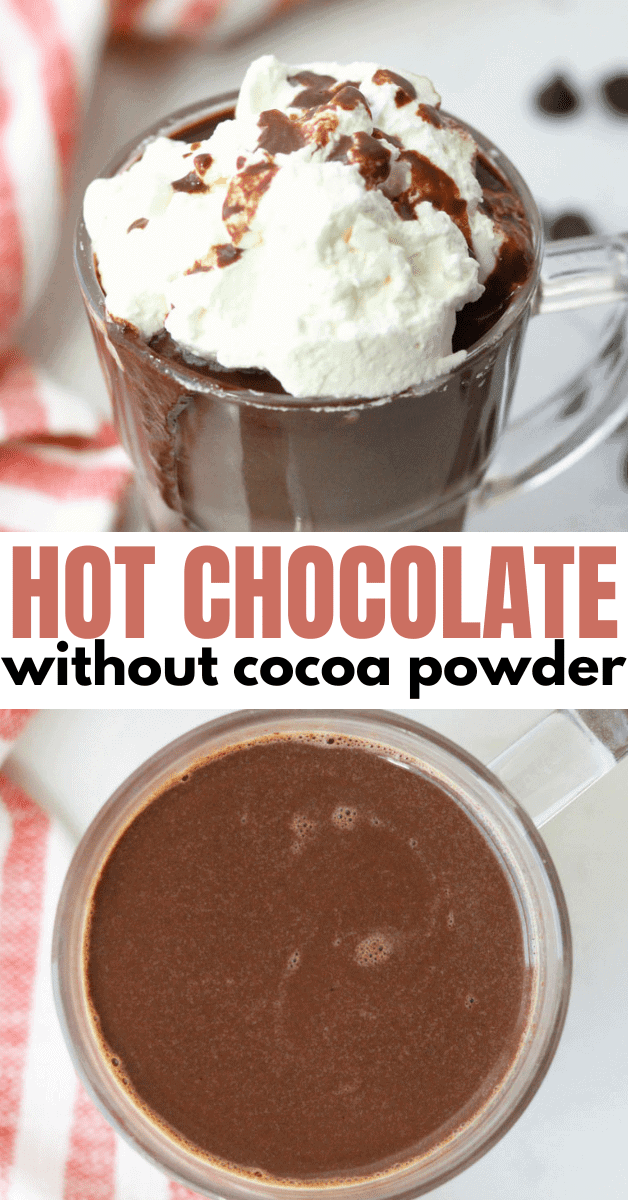 hot chocolate without cocoa powder made with chocolate chips