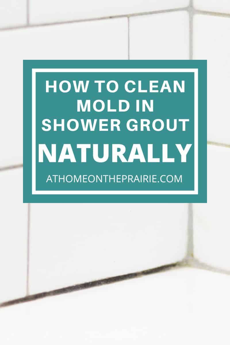 a graphic that reads "how to clean mold in shower grout naturally