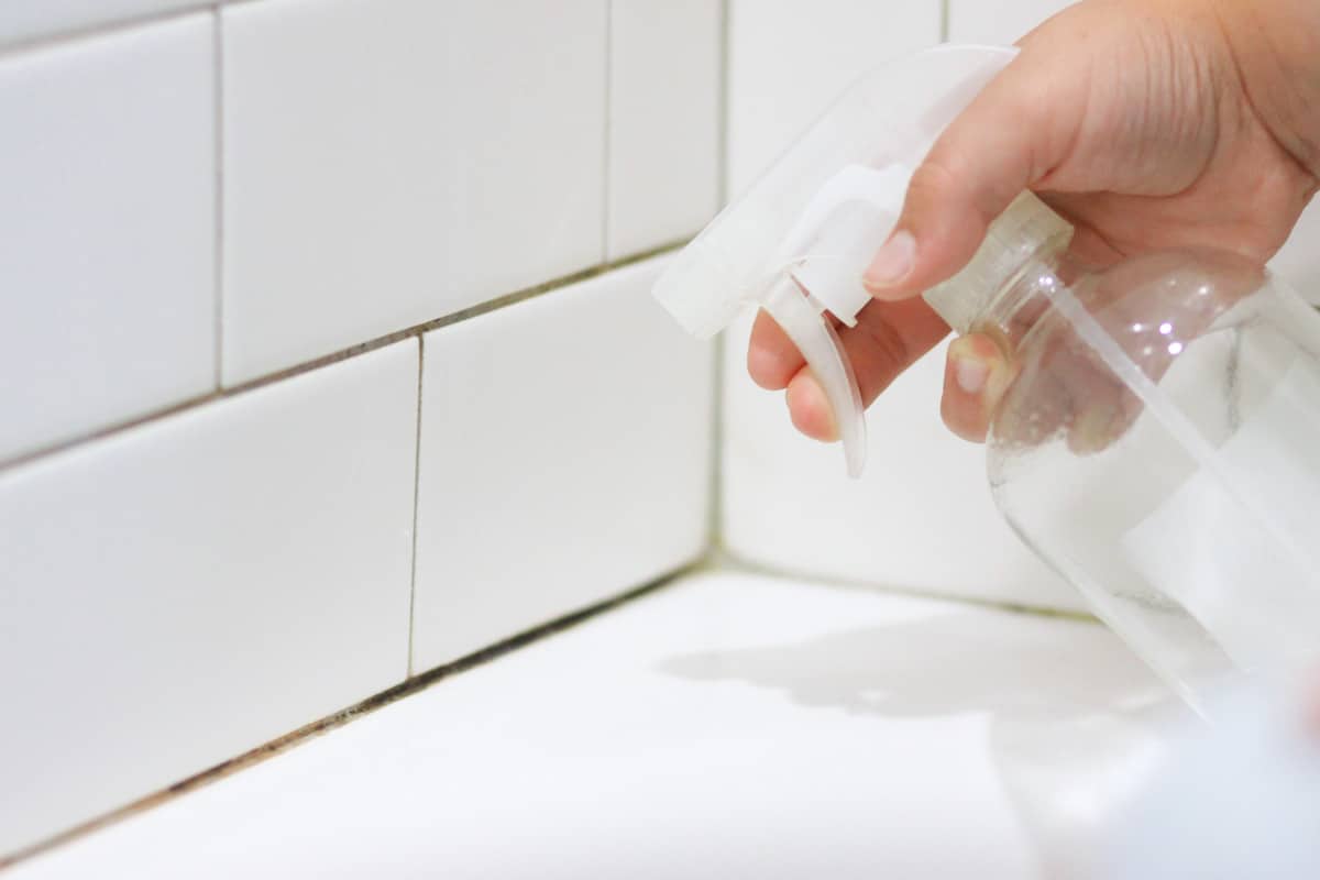 mold in shower tile grout being sprayed with vinegar in a spray bottle