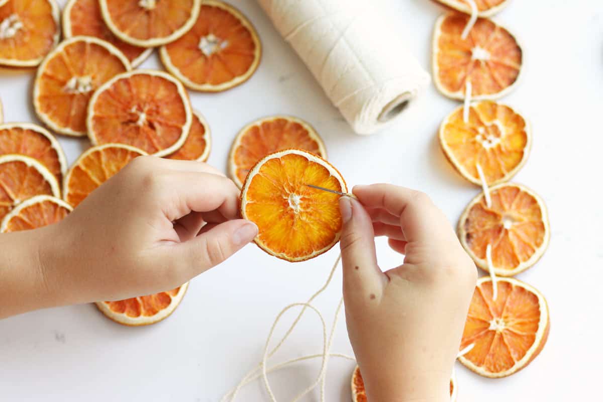 a girl stringing dried orange slices on twine to make a garland