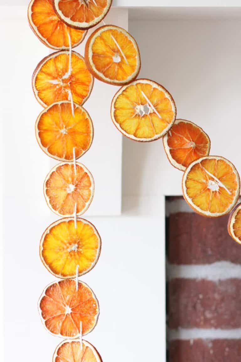 How To Make A Homemade Dried Orange Slice Garland
