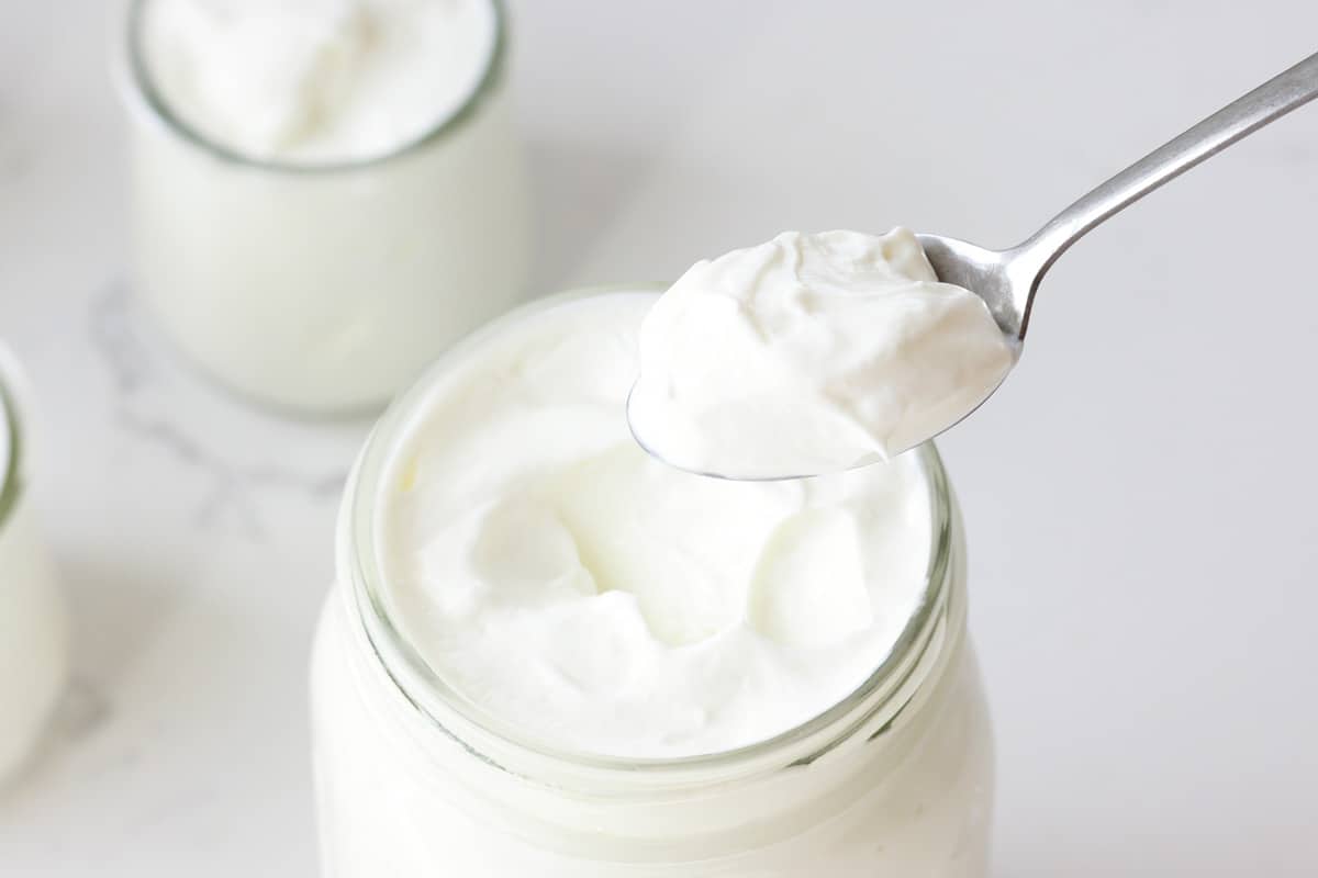 a spoonful of creamy plain yogurt held over a jar full of homemade yogurt