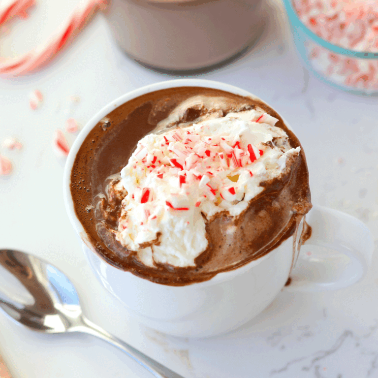A mug of hot chocolate with peppermint candy canes on top